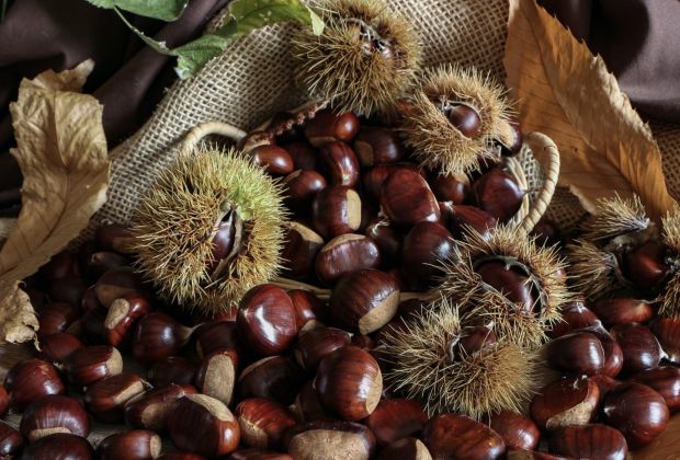 castagne