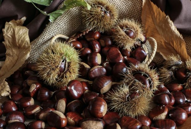 castagne