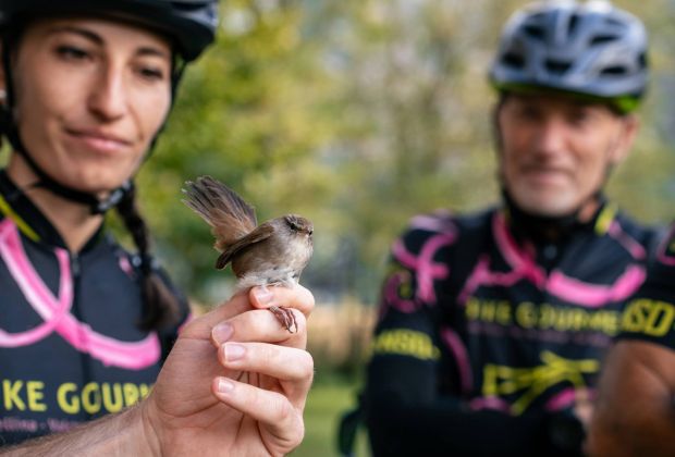 Riserva Naturale Pian di Spagna