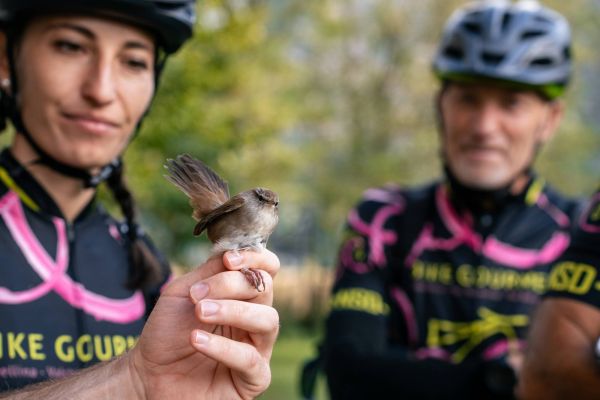 Riserva Naturale Pian di Spagna